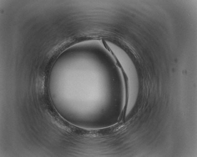 X0000084550404200703091725