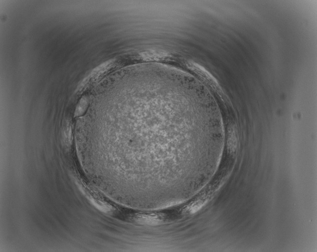 X0000084550405200703091725