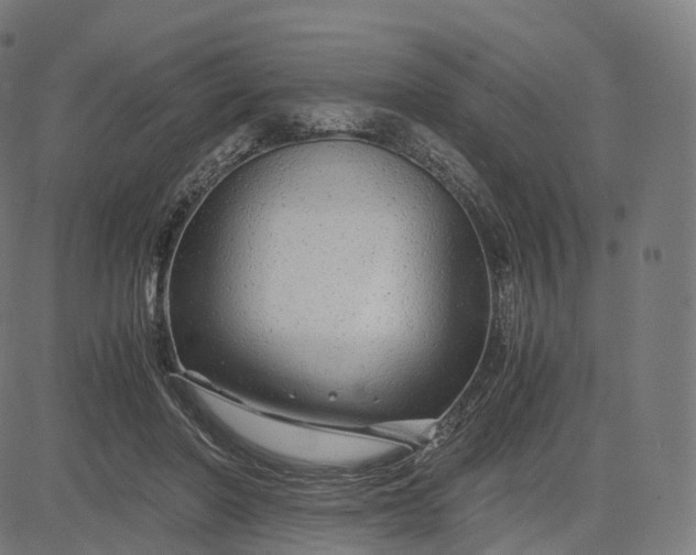 X0000084550406200703091725