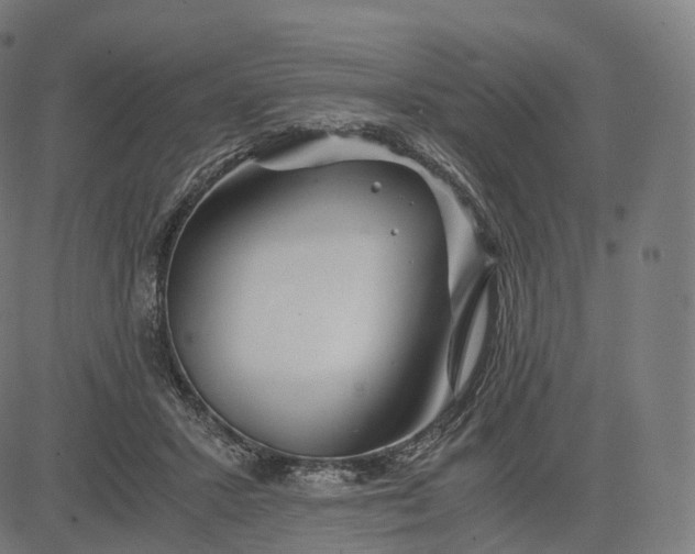 X0000084550407200703091725