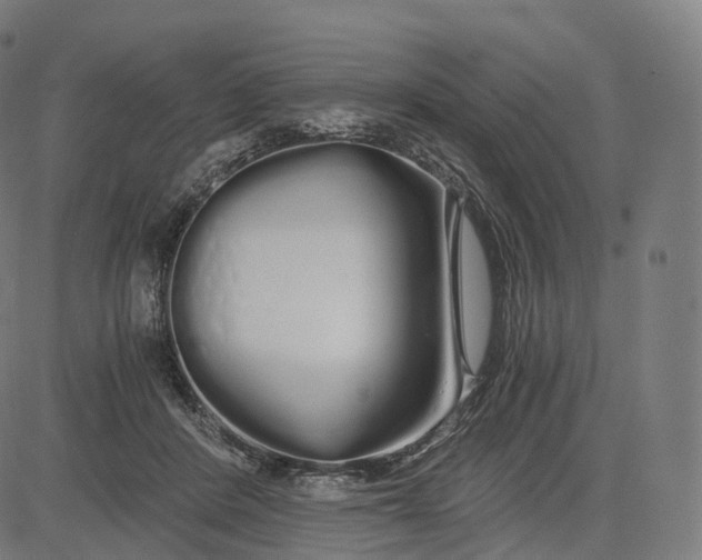 X0000084550408200703091724