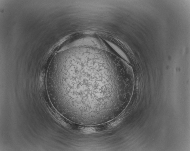 X0000084550409200703091724