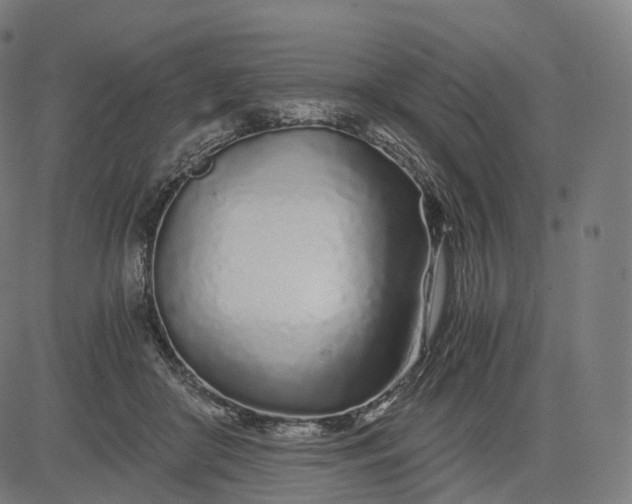 X0000084550410200703091724