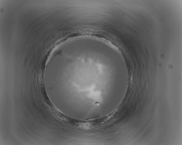 X0000084550411200703091724