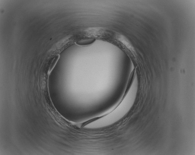 X0000084550413200703091724