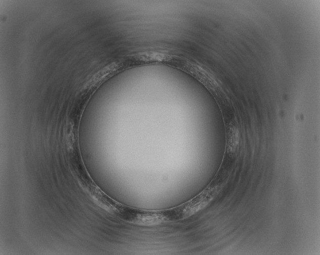 X0000084550414200703091724