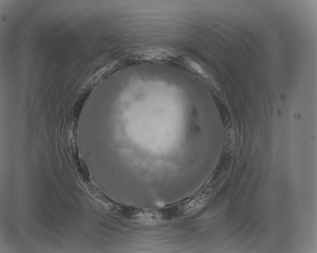 X0000084550415200703091724