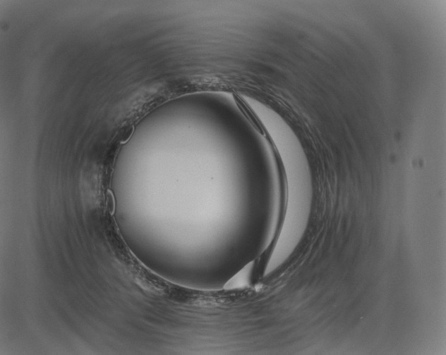 X0000084550416200703091724