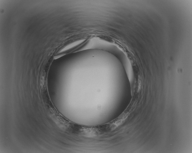 X0000084550417200703091724