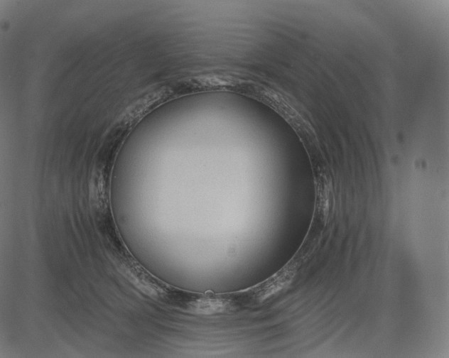 X0000084550418200703091724