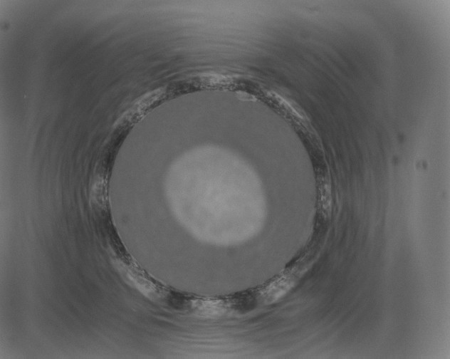 X0000084550419200703091724