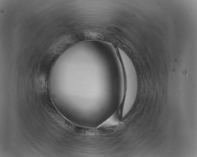 X0000084550420200703091724