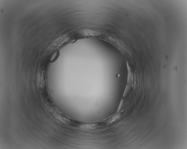 X0000084550422200703091724