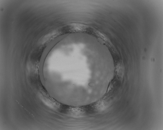 X0000084550423200703091724