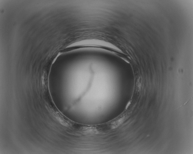 X0000084550424200703091724