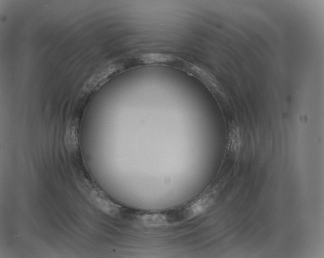 X0000084550426200703091724