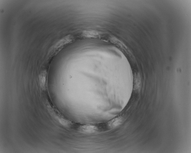 X0000084550427200703091724