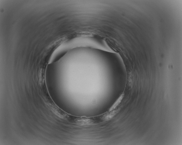 X0000084550428200703091724