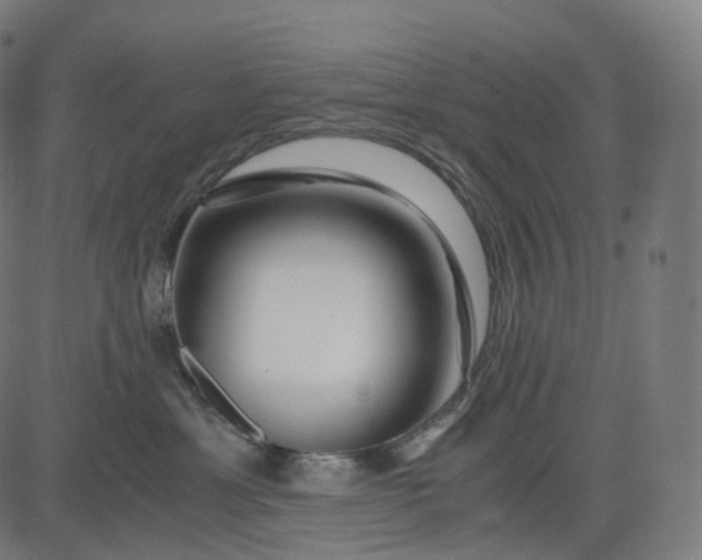 X0000084550429200703091724