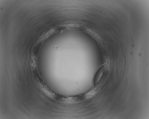 X0000084550430200703091724