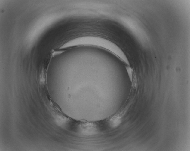 X0000084550431200703091724