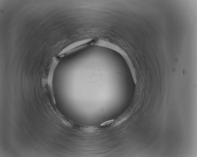 X0000084550432200703091724