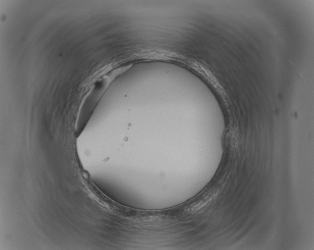 X0000084550433200703091723