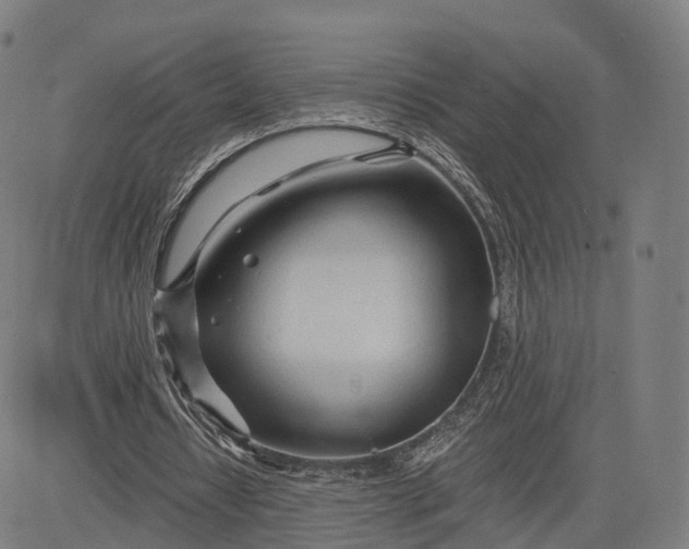 X0000084550434200703091723