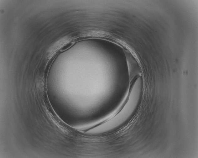 X0000084550437200703091723