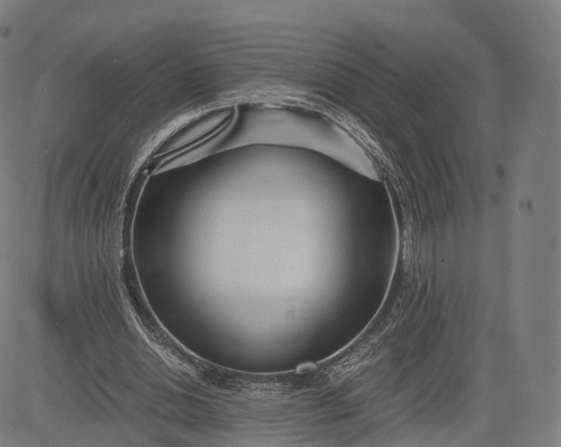 X0000084550438200703091723