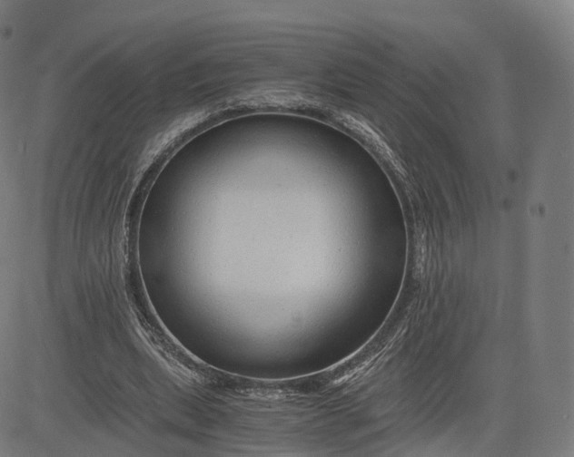 X0000084550439200703091723