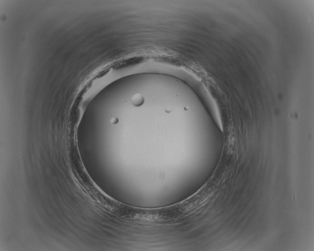 X0000084550440200703091723