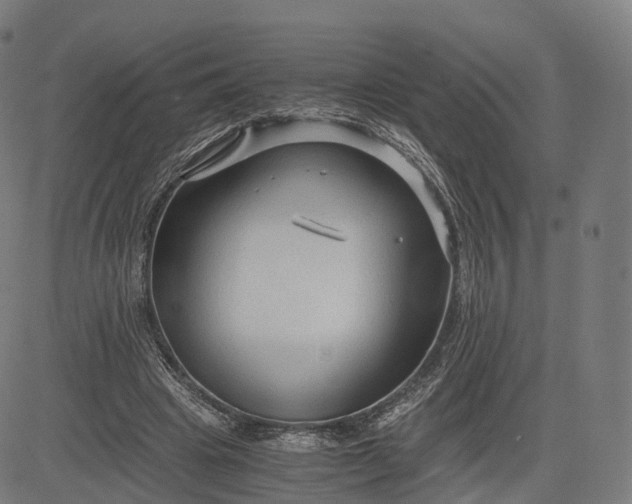 X0000084550441200703091723