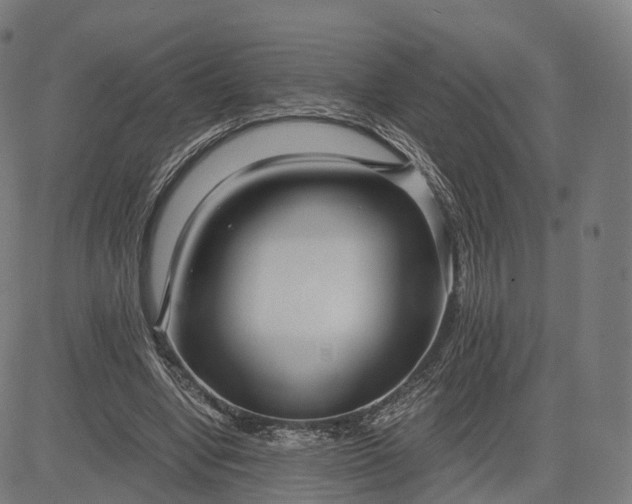 X0000084550442200703091723