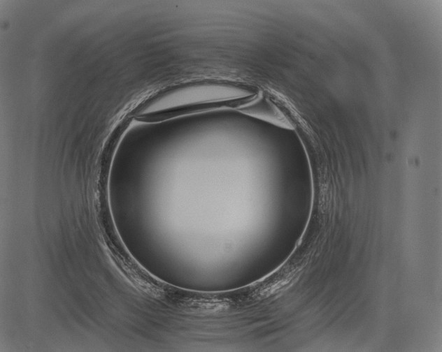 X0000084550443200703091723