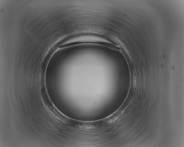 X0000084550444200703091723