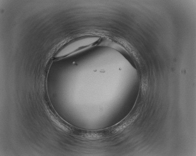 X0000084550445200703091723