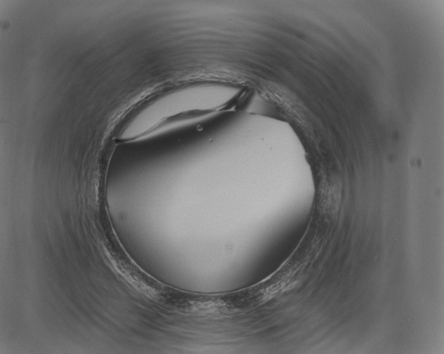 X0000084550446200703091724