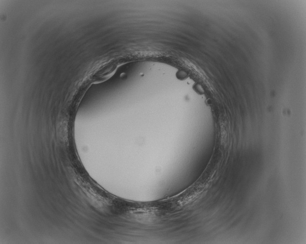 X0000084550447200703091724