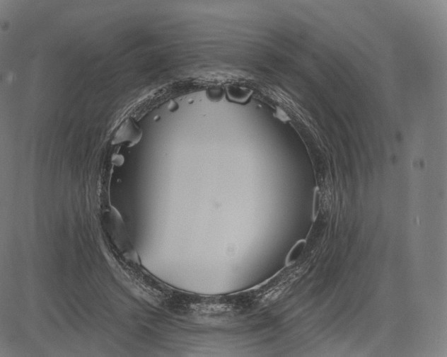 X0000084550448200703091724