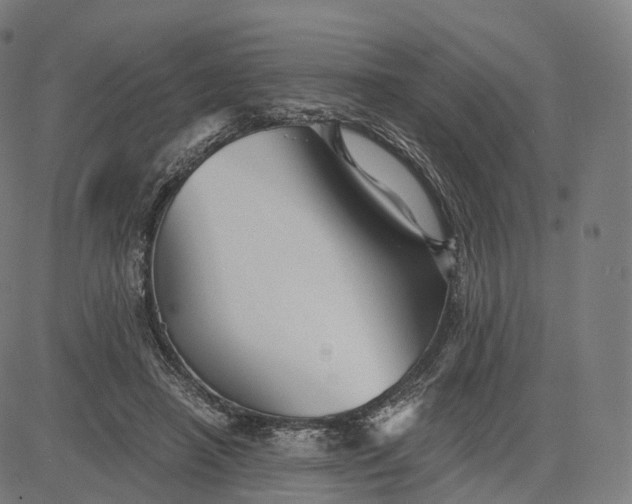 X0000084550450200703091724