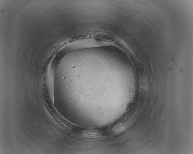 X0000084550451200703091724