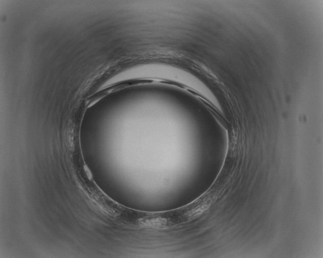 X0000084550452200703091724