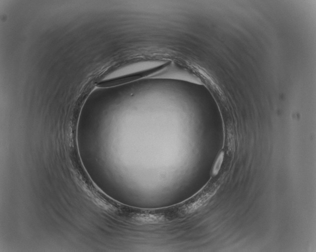 X0000084550453200703091724