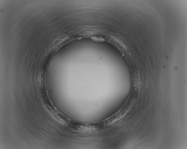 X0000084550455200703091724