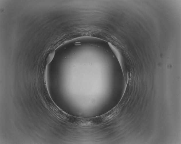 X0000084550456200703091724