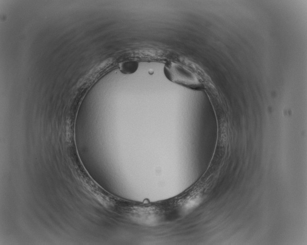 X0000084550457200703091724