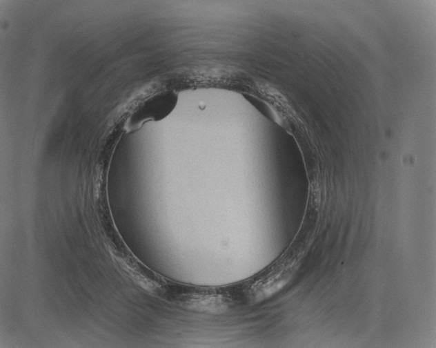 X0000084550458200703091724