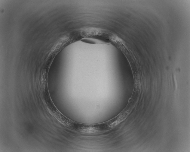 X0000084550460200703091724