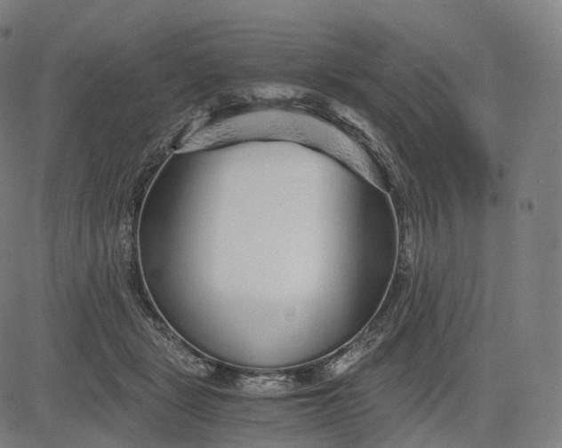 X0000084550461200703091724